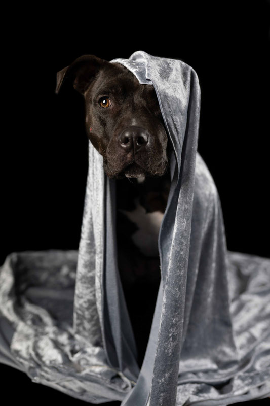 Pärchenfotografie Minden Foto 6